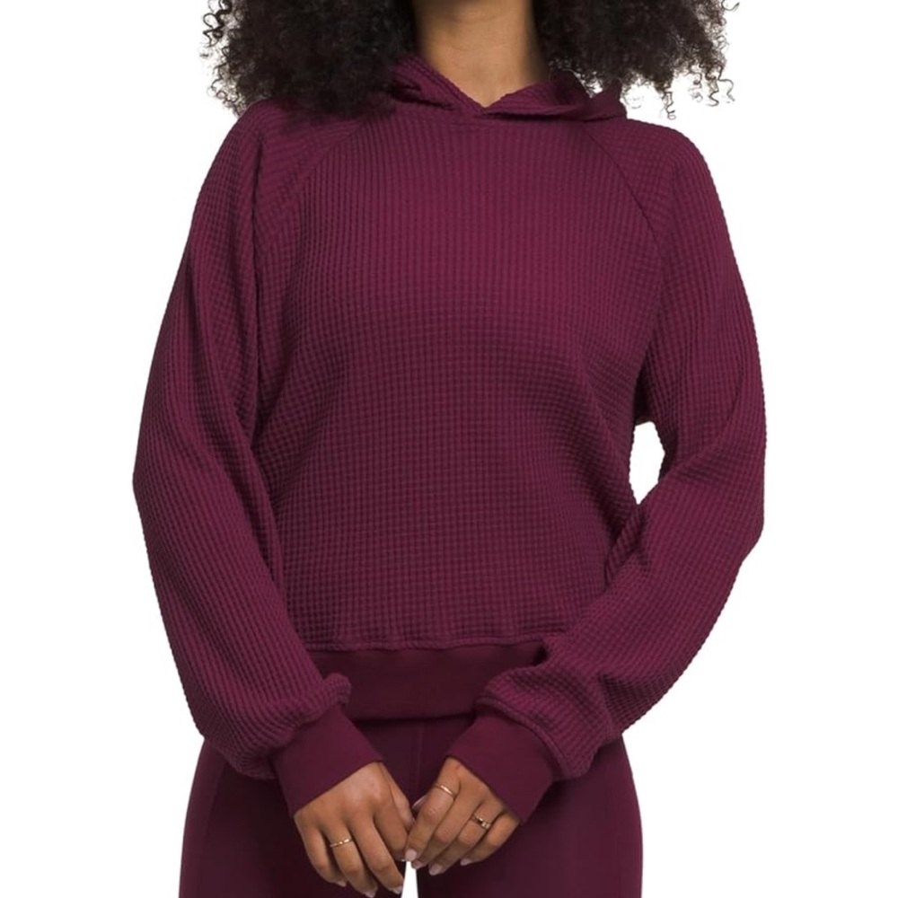 The North Face Chabot Hoodie
